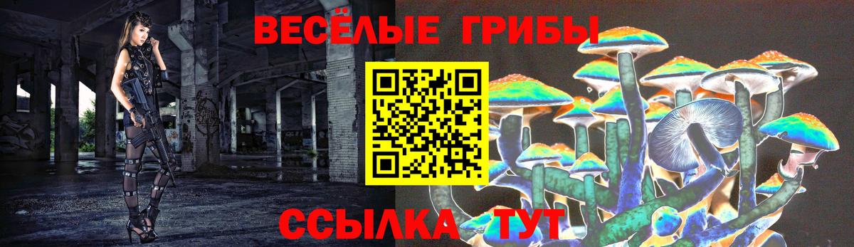 Псилоцибиновые грибы MAGIC MUSHROOMS Балашов