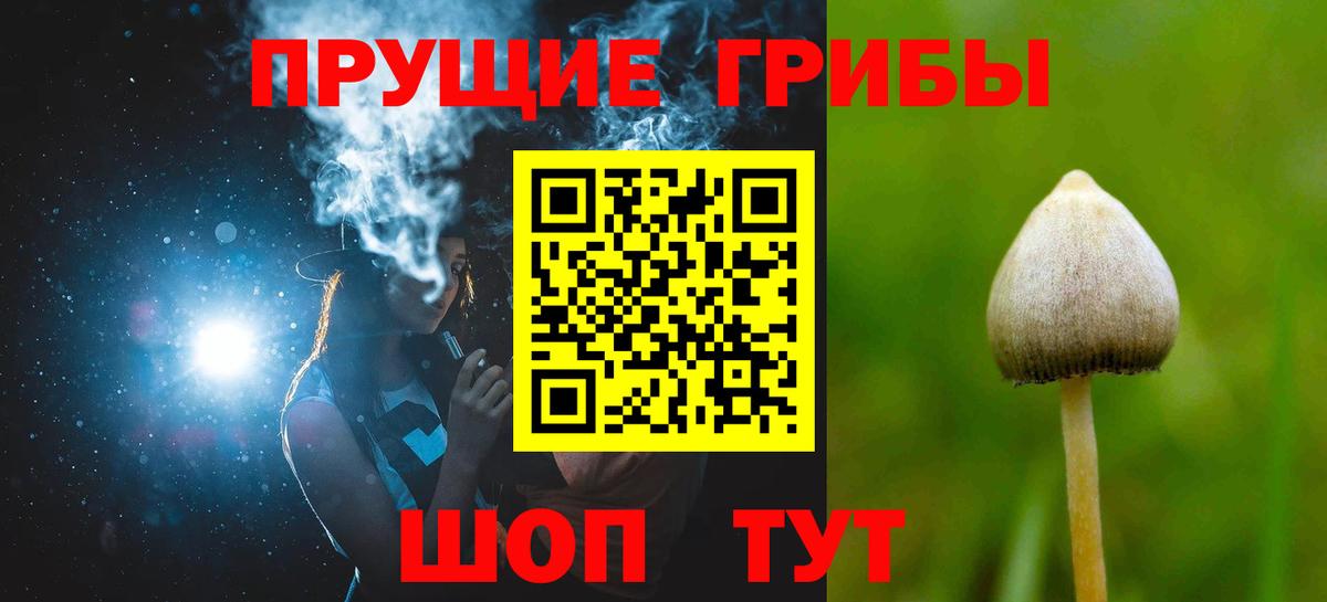 Балашов  Псилоцибиновые грибы GOLDEN TEACHER  Вход с VPN 
